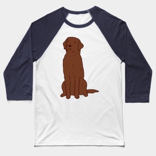 Copy of Brown Labrador drawing Baseball T-Shirt